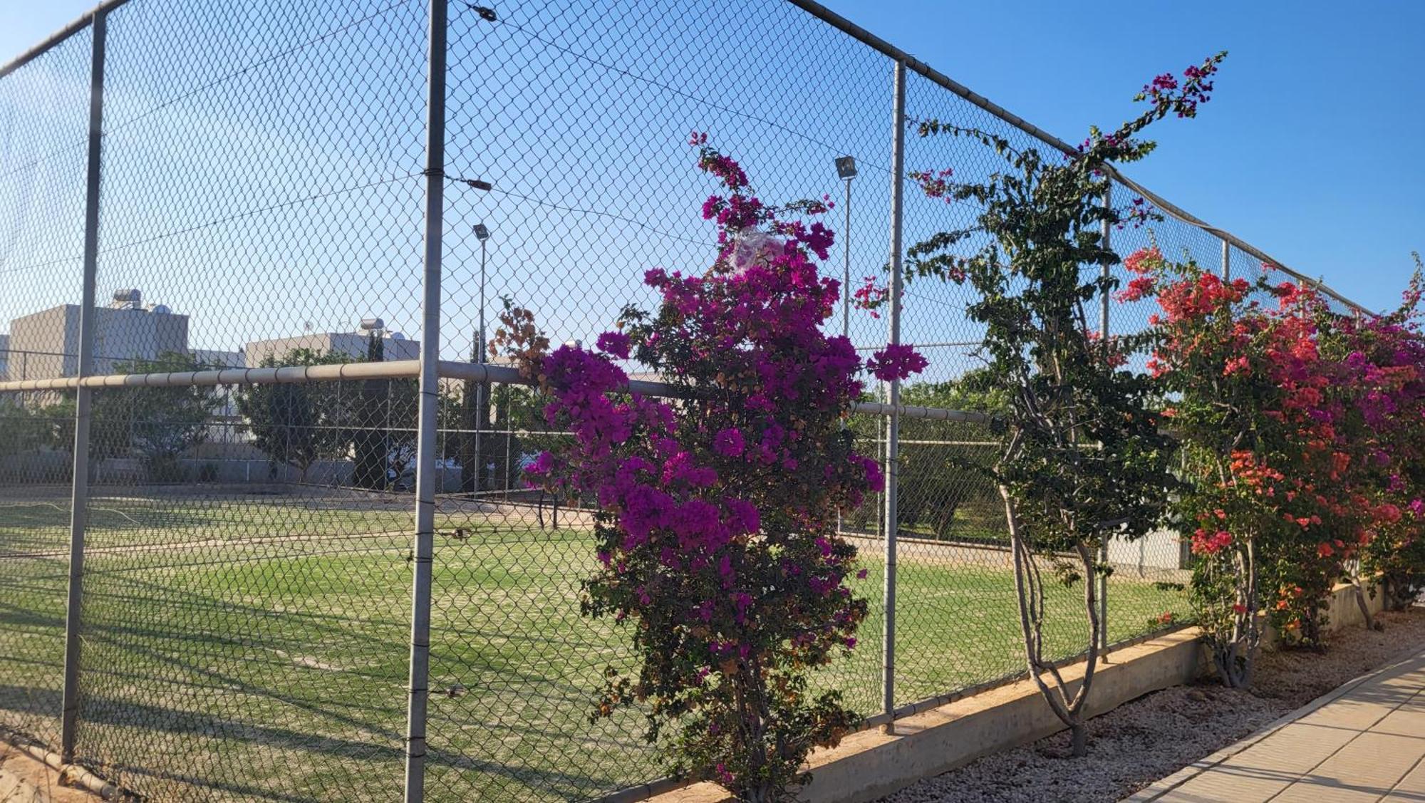 Mythical Sands Resort - Hana Paralimni Rum bild